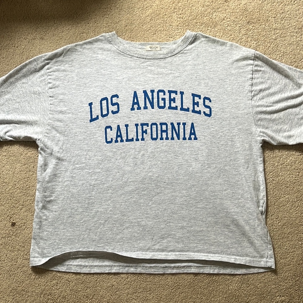 Brandy Melville Crop Top